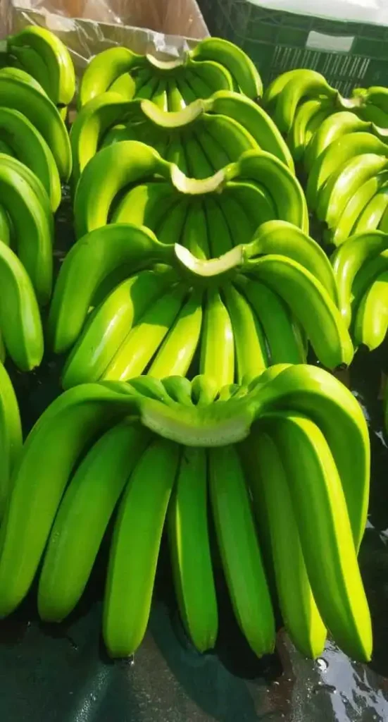 Banana 4